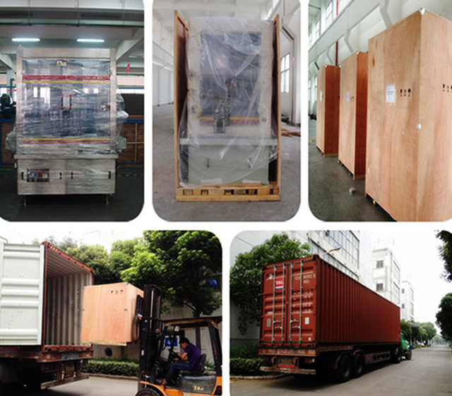 packing of the Customized cups filling sealing machine large